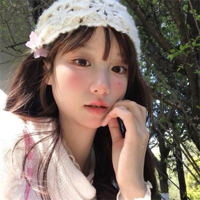 森林泰山2