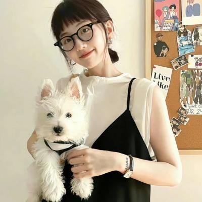 一条狗的回家路